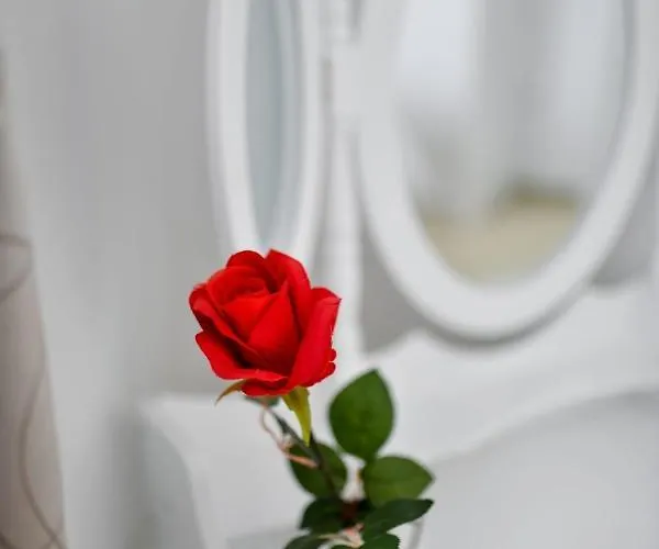 Apartamento Family Amare Zadar